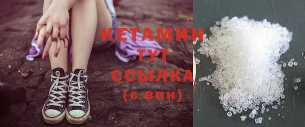 прущие грибы Вязники