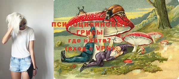 гидра Горняк
