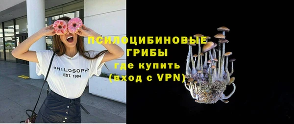 Альфа ПВП Вязьма
