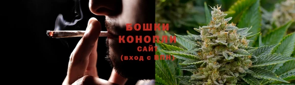 гидра Горняк
