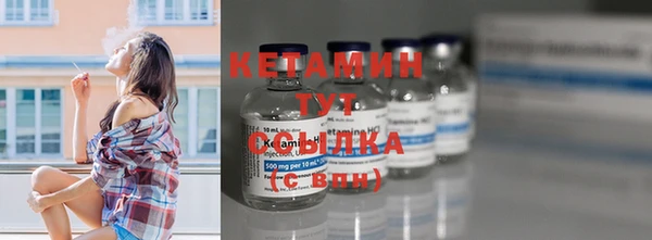 прущие грибы Вязники