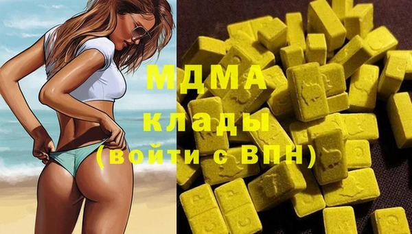 гидра Горняк