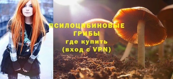 крисы Горнозаводск