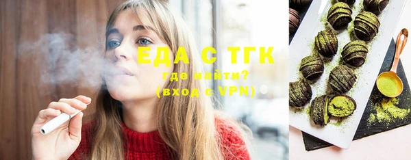 гидра Горняк